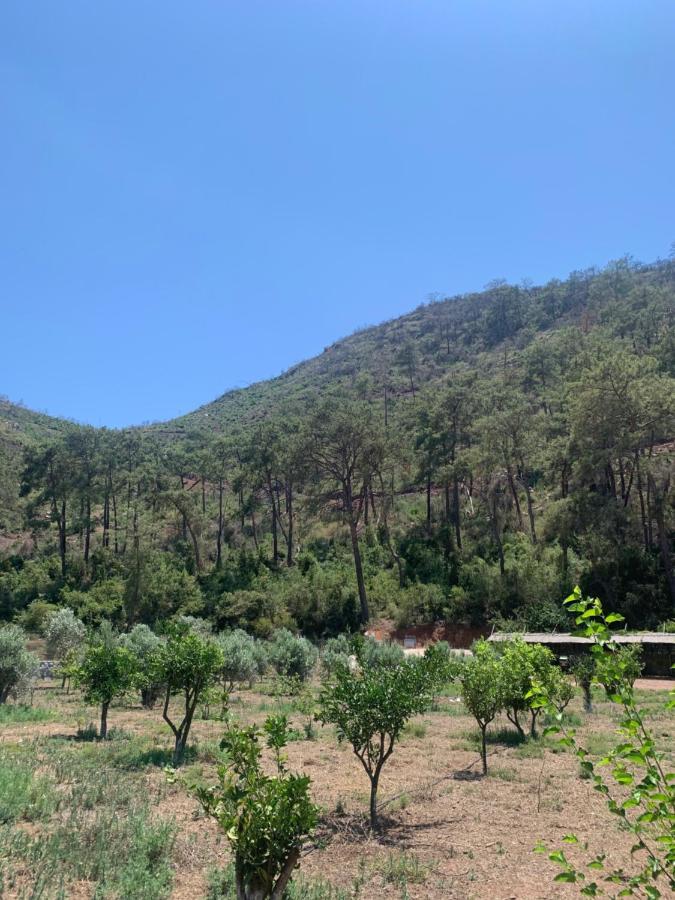 Doga Ciftlik Konaklama Marmaris Zewnętrze zdjęcie