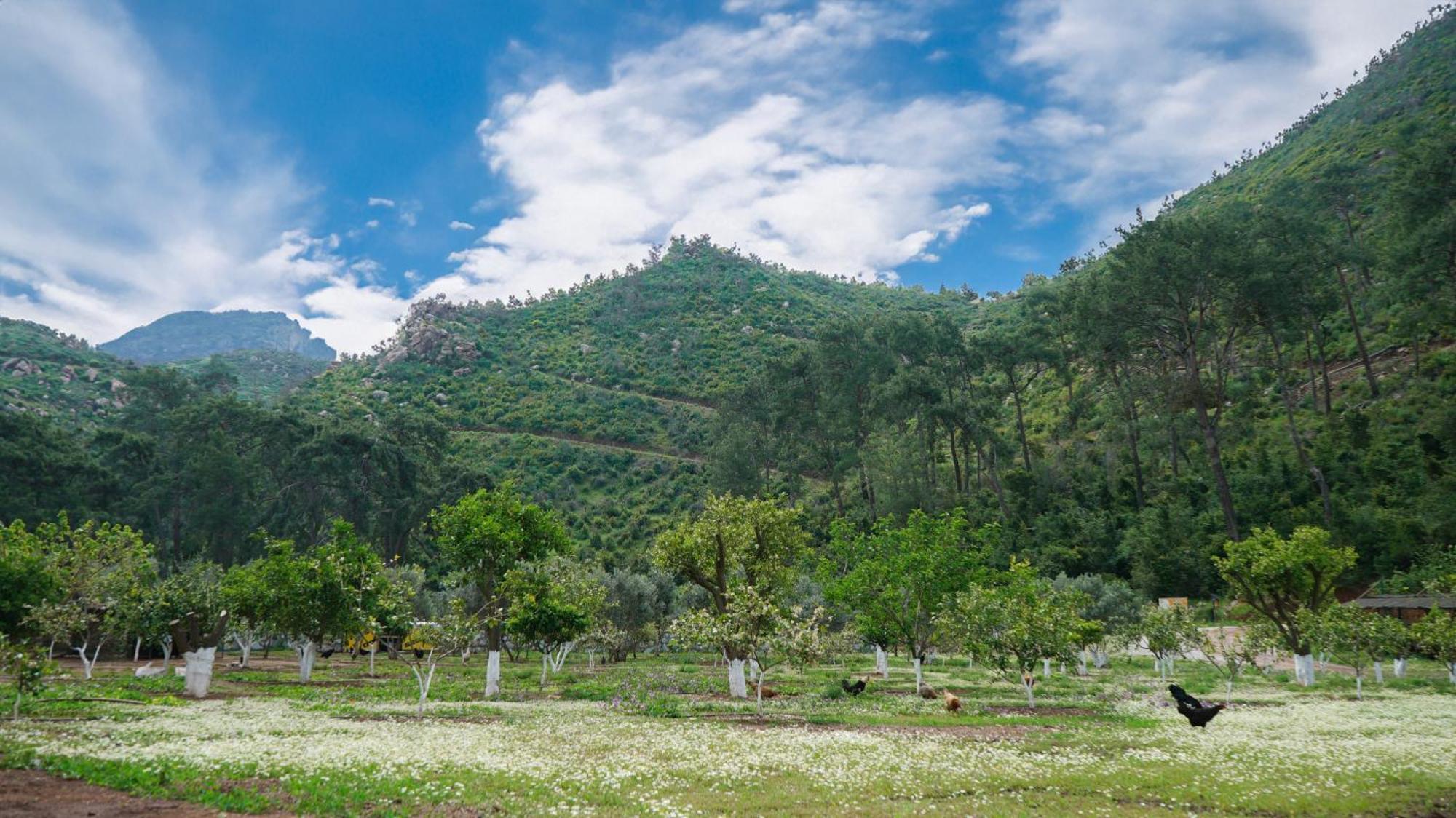 Doga Ciftlik Konaklama Marmaris Zewnętrze zdjęcie